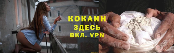 прущие грибы Заводоуковск