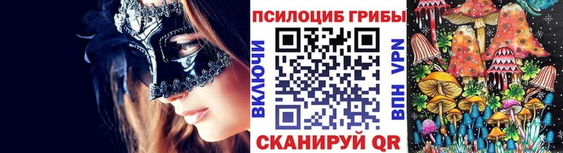 Псилоцибиновые грибы Cubensis  Купить  Хабаровск 